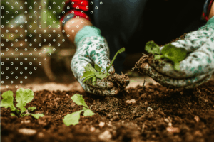 Gardening counts as daily movement
